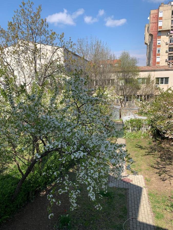 Apartment Garden Oasis Veles