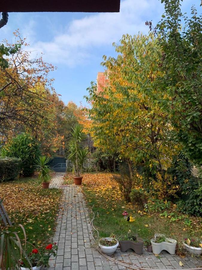 Apartment Garden Oasis Veles